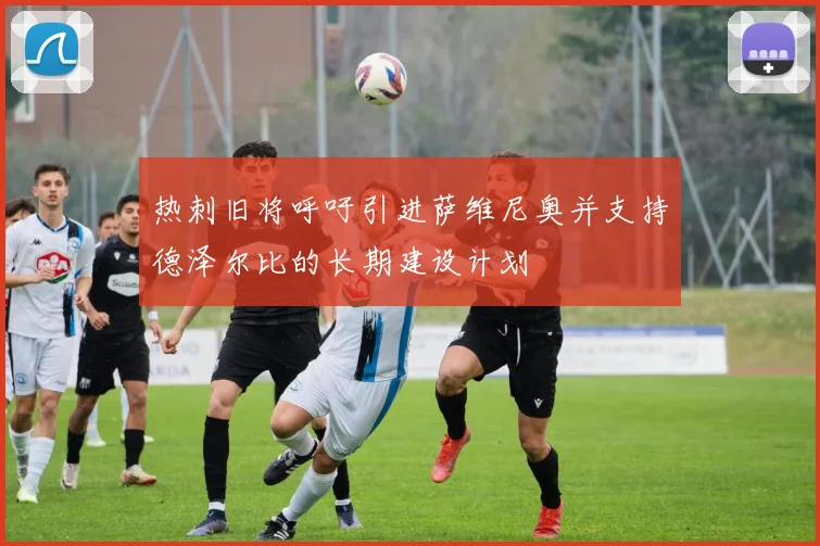 热刺旧将呼吁引进萨维尼奥并支持德泽尔比的长期建设计划
