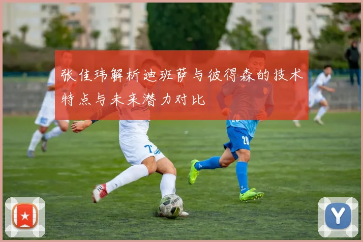 张佳玮解析迪班萨与彼得森的技术特点与未来潜力对比