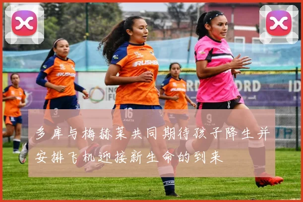 多库与梅赫莱共同期待孩子降生并安排飞机迎接新生命的到来